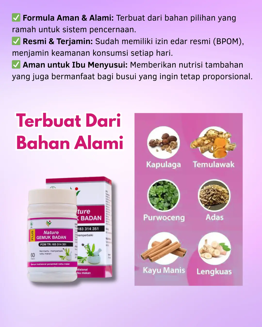 Penggemuk Badan 5
